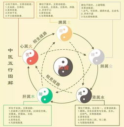 五行属火 八字金和水少